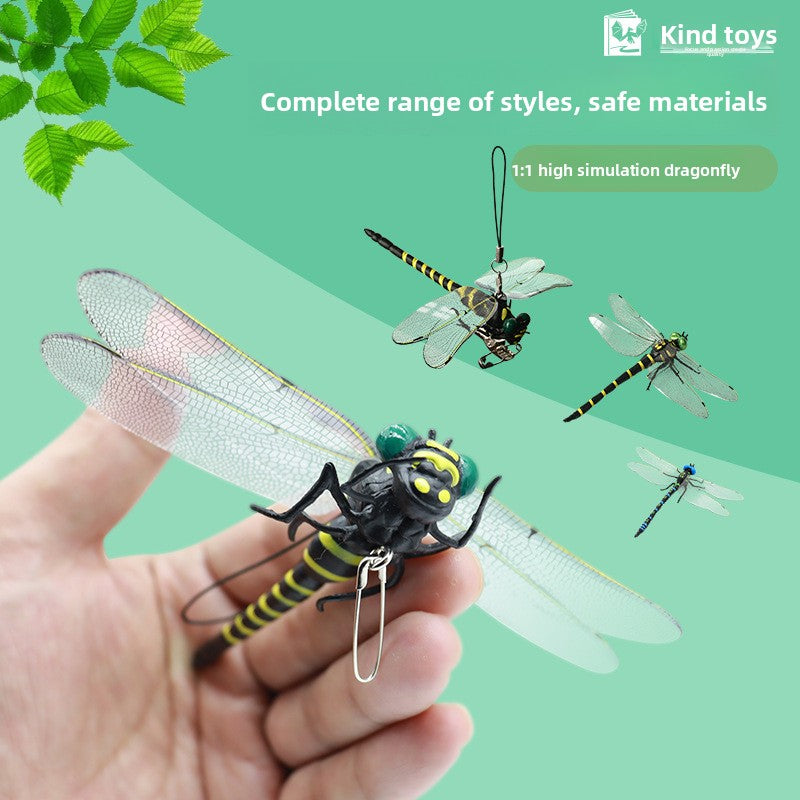 Modeling of dragonfly handicrafts