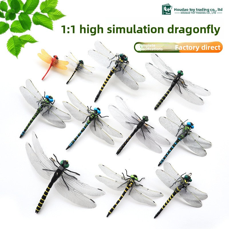 Modeling of dragonfly handicrafts